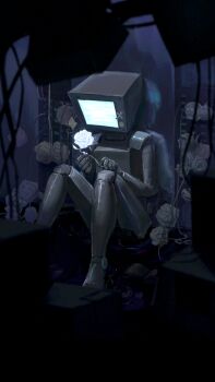 Proxied media