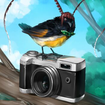 Proxied media