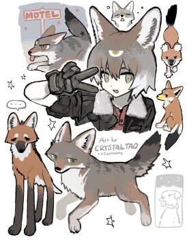 Proxied media