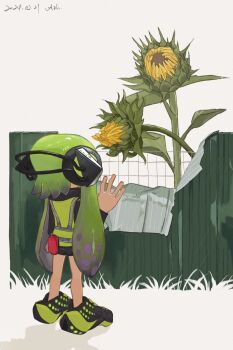 Proxied media