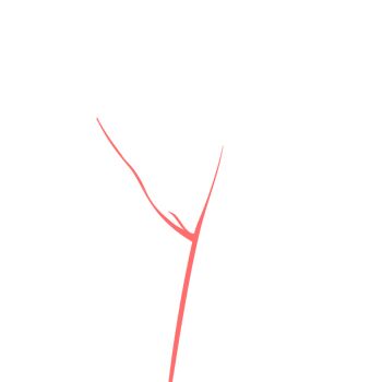 Proxied media