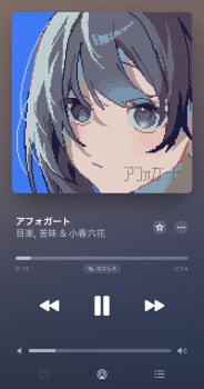 Proxied media