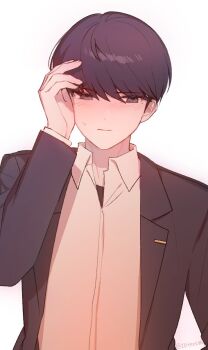 Proxied media