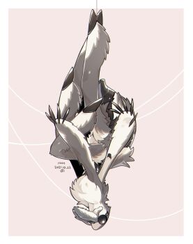 Proxied media