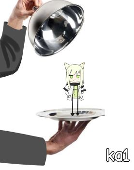 Proxied media