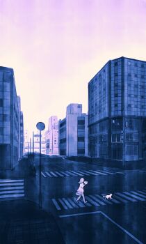 Proxied media