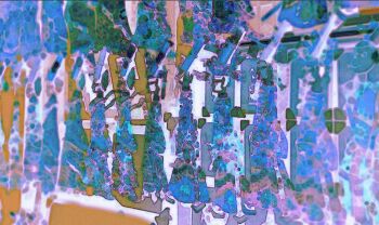 Proxied media
