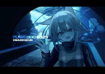Proxied media